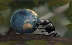 th?id=OIP.Ot6g3vAnO8DpIlldc4pjmgHaEo&pid=15.webp