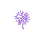 534347_0e653.gif