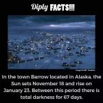 FB-IMG-1546492991670.webp