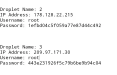 do1.webp