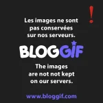 text.webp