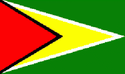 guyflag_large.gif guyflag_large.gif