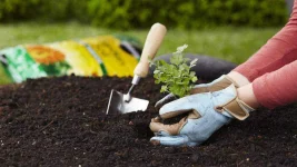 main10TopTipsimage-x1080.webp