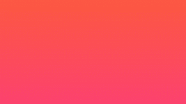 giphy.gif