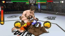 fighting-star_1.webp