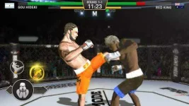 fighting-star_2.webp