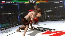 fighting-star_4.webp