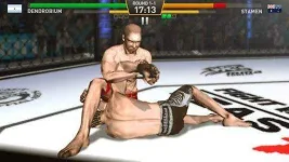 fighting-star_5.webp