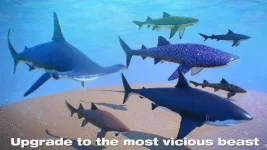 shark-simulator-2019_5.webp