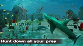 shark-simulator-2019_6.webp