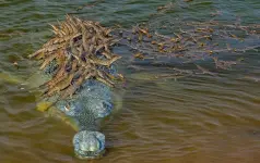 _114185511_wpy_body.jpg.webp _114185511_wpy_body.jpg.webp