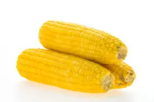 1000000131.webp 1000000131.webp