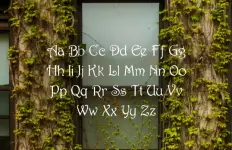 1758852391874.webp