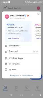 wps pro.webp