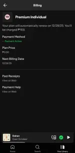 Screenshot_20250928_164214_Spotify.webp