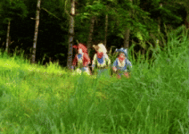 200.gif 200.gif