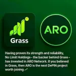 aro 1.webp