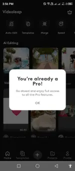 videleap (1).webp