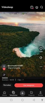 videoleap 3.webp