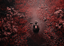 8fef643c283b265efa0428d4b1cece088375f598.gif