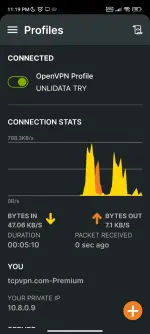 Screenshot_2025-10-08-23-19-47-409_net.openvpn.openvpn.webp