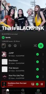Screenshot_20251010_141833_Spotify.webp