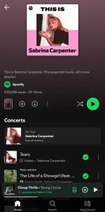 Screenshot_20251010_194746_Spotify.webp
