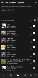 Screenshot_20251010_195237_Musicolet.webp