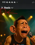 1000039815.webp 1000039815.webp