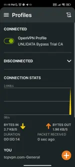 Screenshot_2025-10-12-23-19-57-354_net.openvpn.openvpn.webp