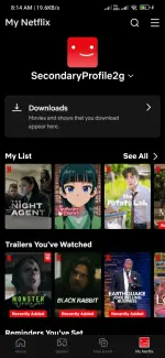 Screenshot_2025-10-13-08-14-38-766_com.netflix.mediaclient.webp