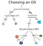 Choosing An OS.webp