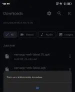 1000063590.webp 1000063590.webp