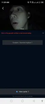 cinema (3).webp