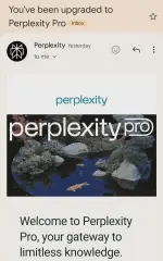 1761274683486.webp 1761274683486.webp