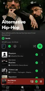 Screenshot_20251026_085627_Spotify.webp