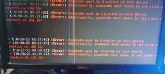17616143878326093154855156486164.webp