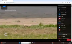page.webp