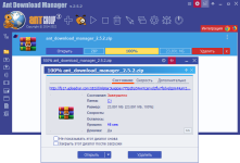 1642881757_ant-download-manager.png