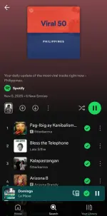 Screenshot_20251105_182240_Spotify.webp