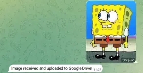 1762400107744.webp 1762400107744.webp