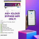 1000006655.webp 1000006655.webp