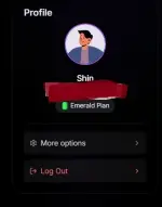 Screenshot 2025-11-08 175003.webp