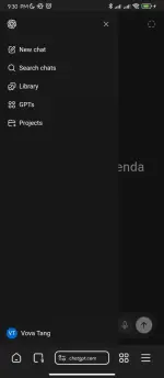 Screenshot_2025-11-10-21-30-02-082_com.lemurbrowser.exts.webp