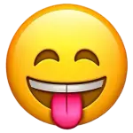 1763071463051.webp