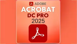 1763113738910.webp