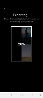 capcut (2).webp capcut (2).webp