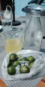 1000039621.webp 1000039621.webp