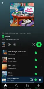 Screenshot_20251121_044721_Spotify.webp