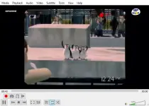 1763724360122.webp